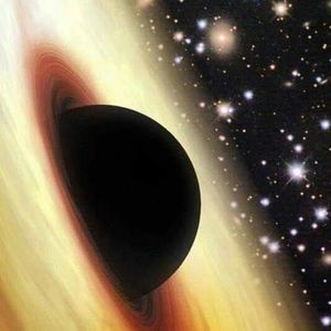 Meet your Posher, Krystal